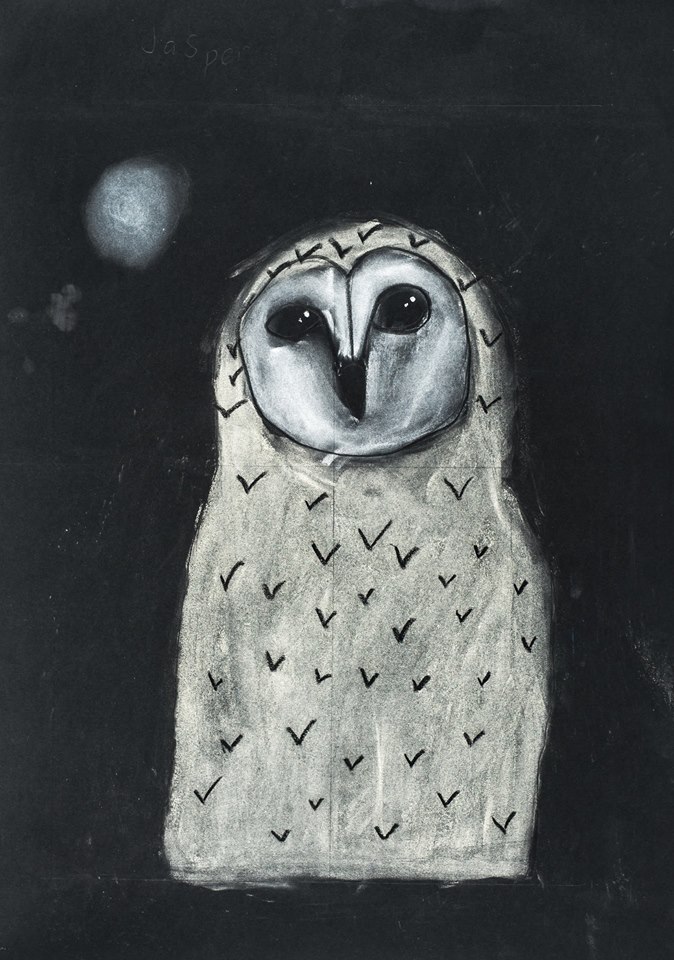 owl