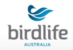 Birdlife