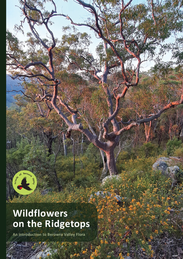 FoBV wildflower A5 booklet coverb