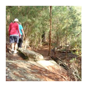 STEP Bushwalkers