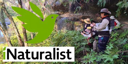 iNaturalist