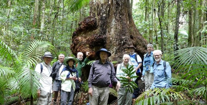 Watagans Walk was Spectacular