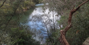 Lane Cove National Park to Gain some Land near M2