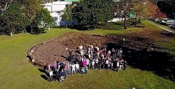 Tiny forest planted in West Pymble – how well will it grow?