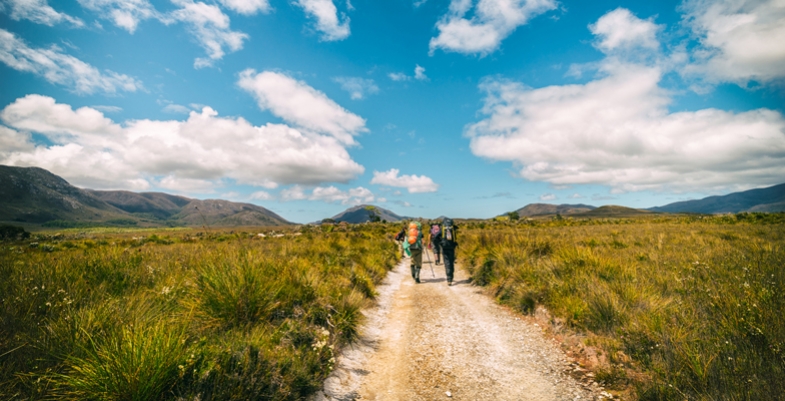 Bushwalking Booms as Participation Nearly Doubles