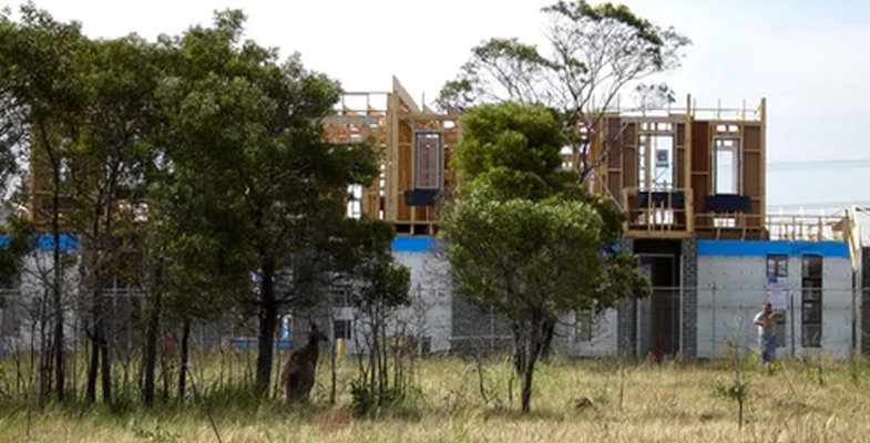 The Small Patch of Bush over your Back Fence might be Key to a Species’ Survival