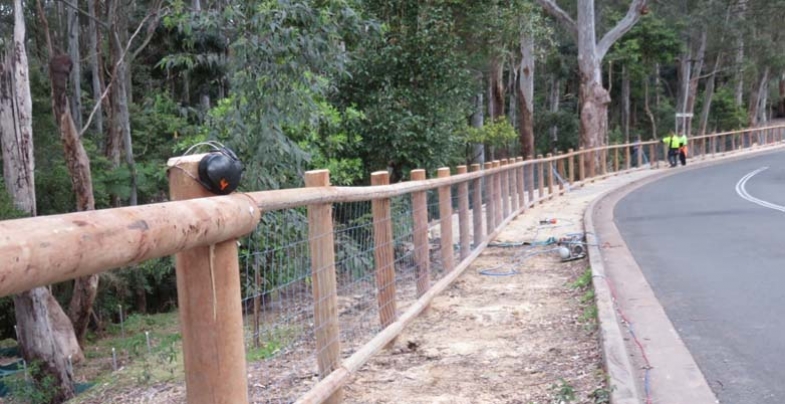 BioBanking Activity in Sheldon Forest