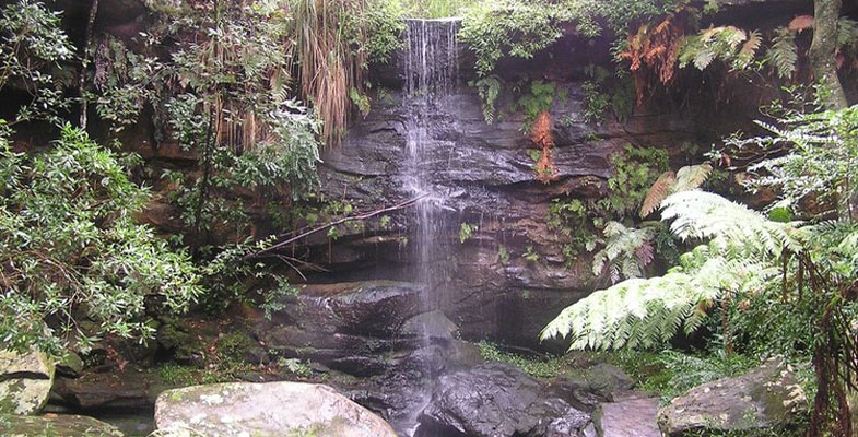 Rofe Park Turramurra is now on Wikipedia