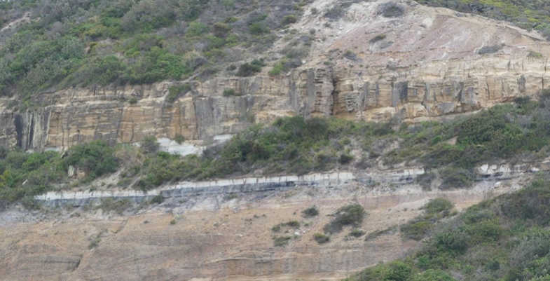 Geology of the Sydney Basin