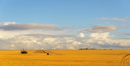 Dark Emu and the Blindness of Australian Agriculture